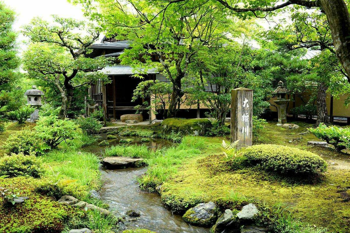 2020天龙寺-旅游攻略-门票-地址-问答-游记点评，京都旅游旅游景点推荐-去哪儿攻略