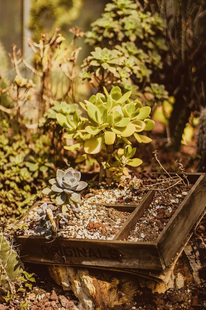 武汉植物园 体验植物学家的一天 武汉植物园 攻略游记 途牛
