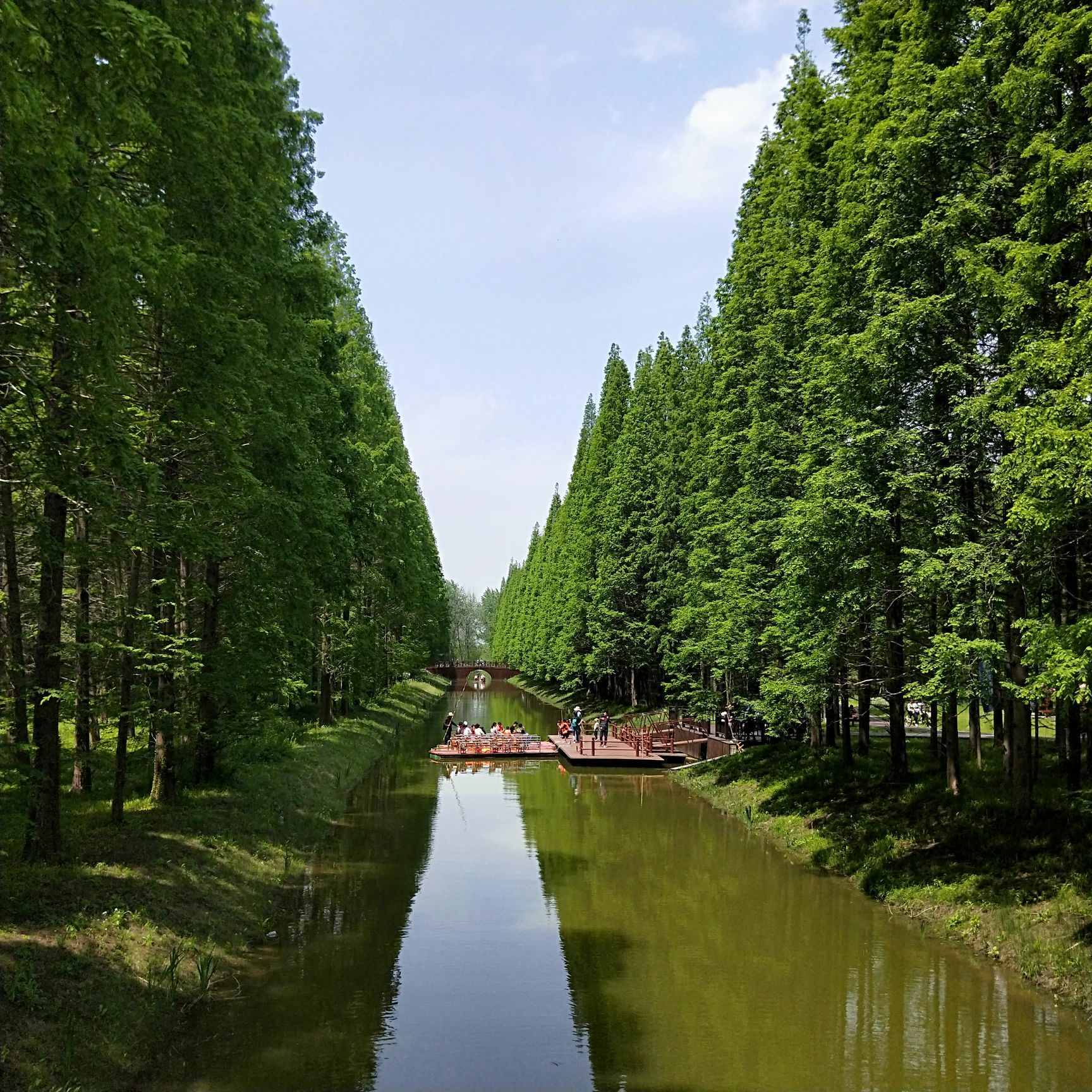 日照海滨森林公园_山东频道_凤凰网