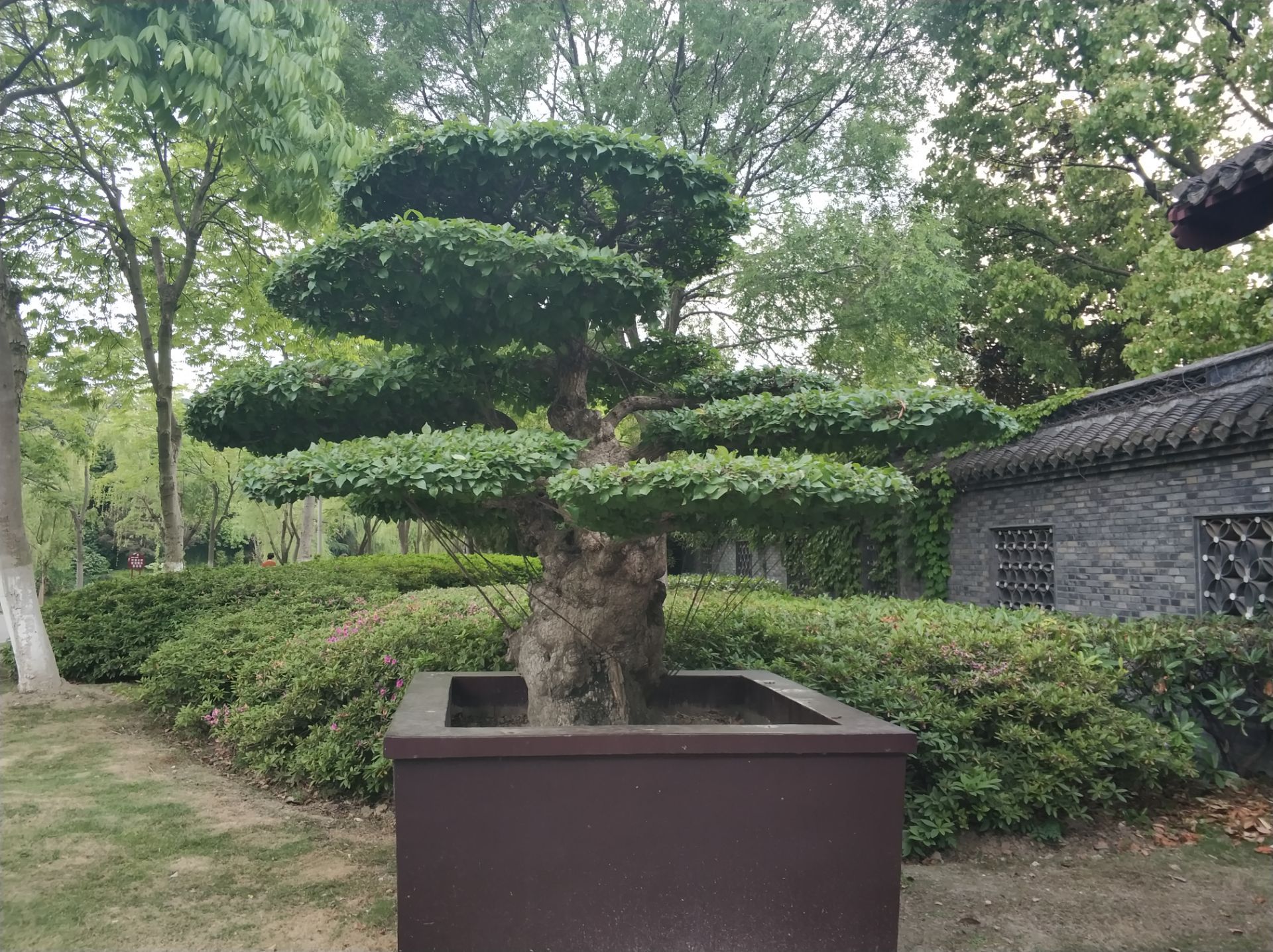 泰州盆景艺术展览馆