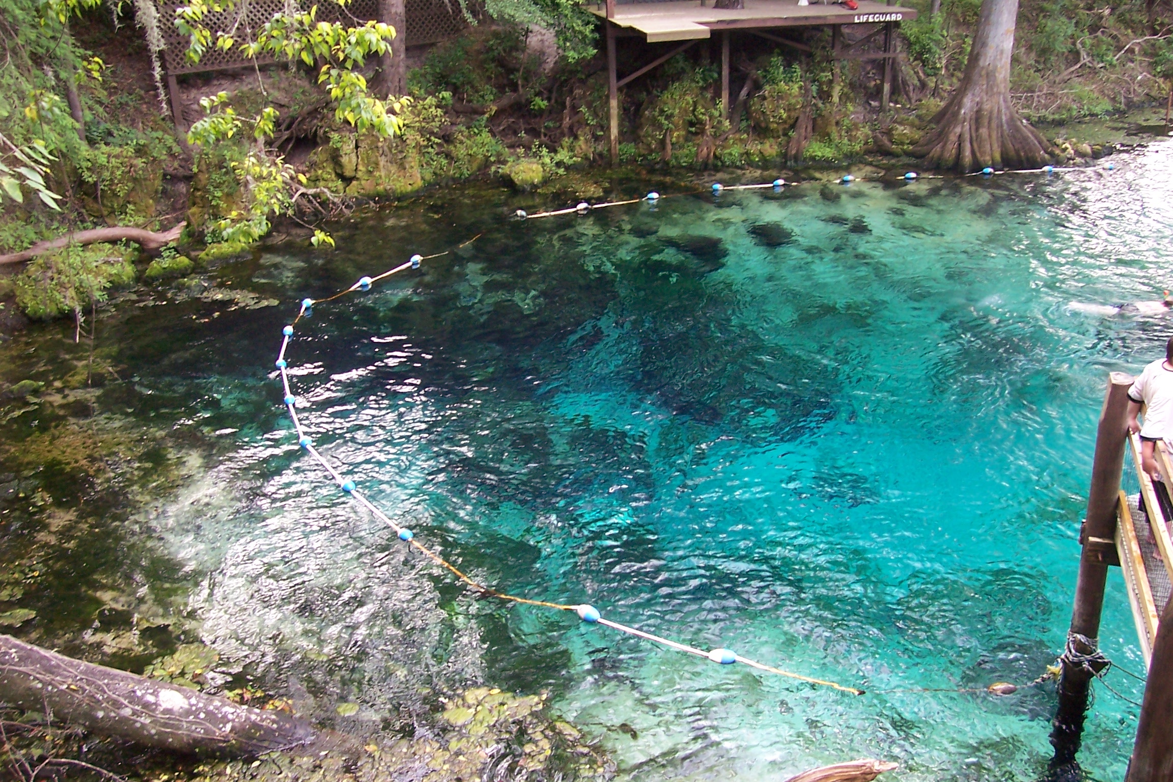 manatee springs state park