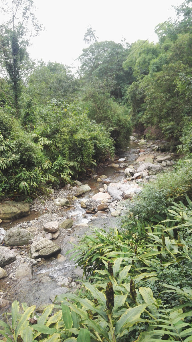 100l14000000wcnvl1AEC_R_671_10000_Q90.jpg?proc=autoorient