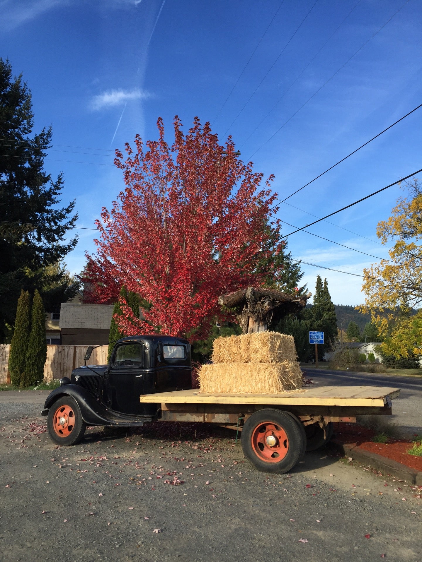 blue raeven farmstand 直线距离 100m