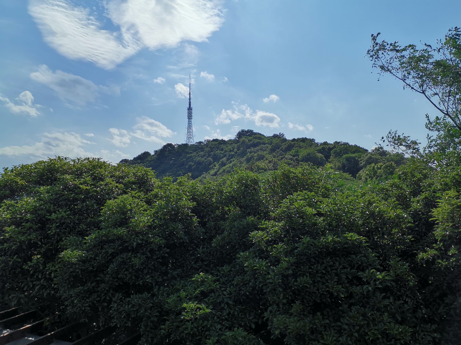 西山公園