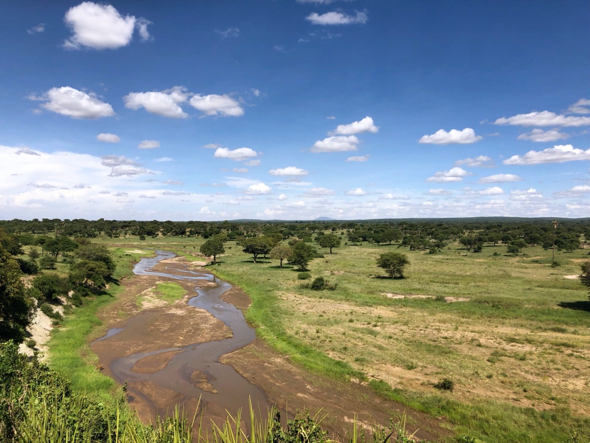 阿鲁沙国家公园是肯尼亚一处中型的自然保护区