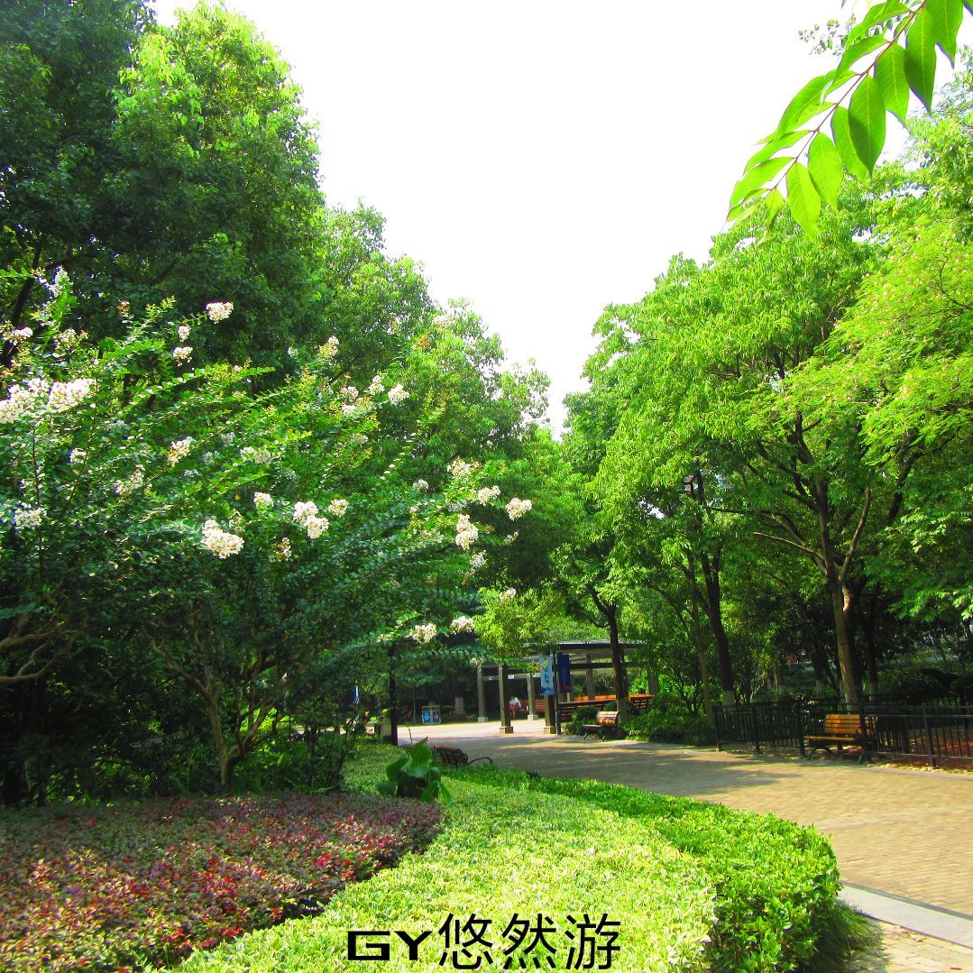 2023彭浦公园游玩攻略,园内绿树红花，曲径通幽，一...【去哪儿攻略】