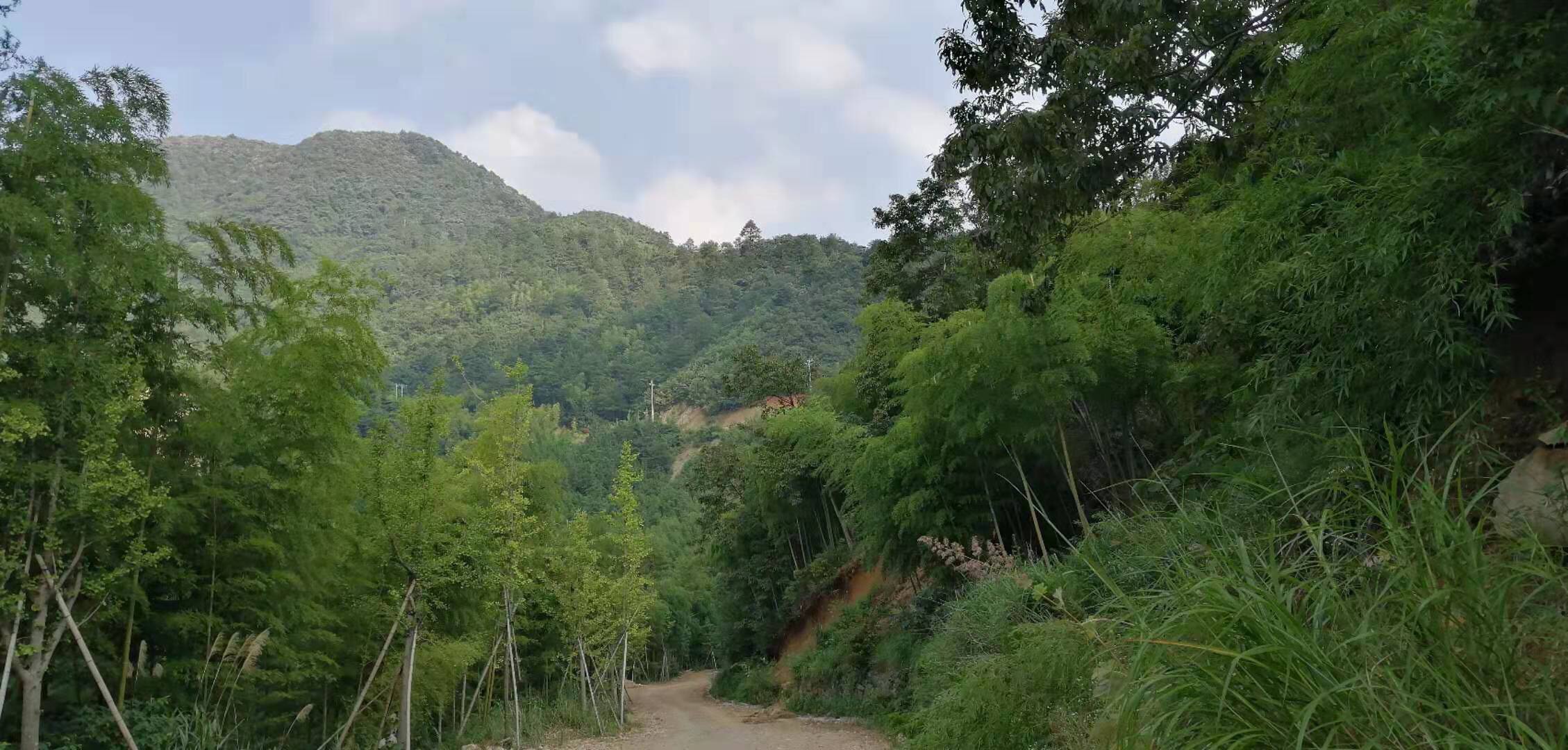 【携程攻略】中国大竹海门票,安吉中国大竹海攻略/地址/图片/门票价格