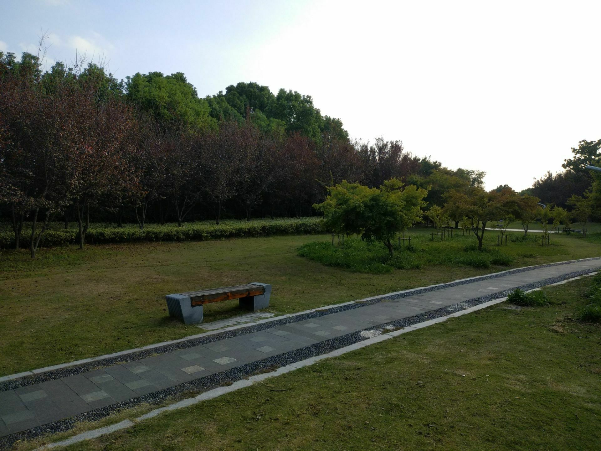 台中经国绿园道