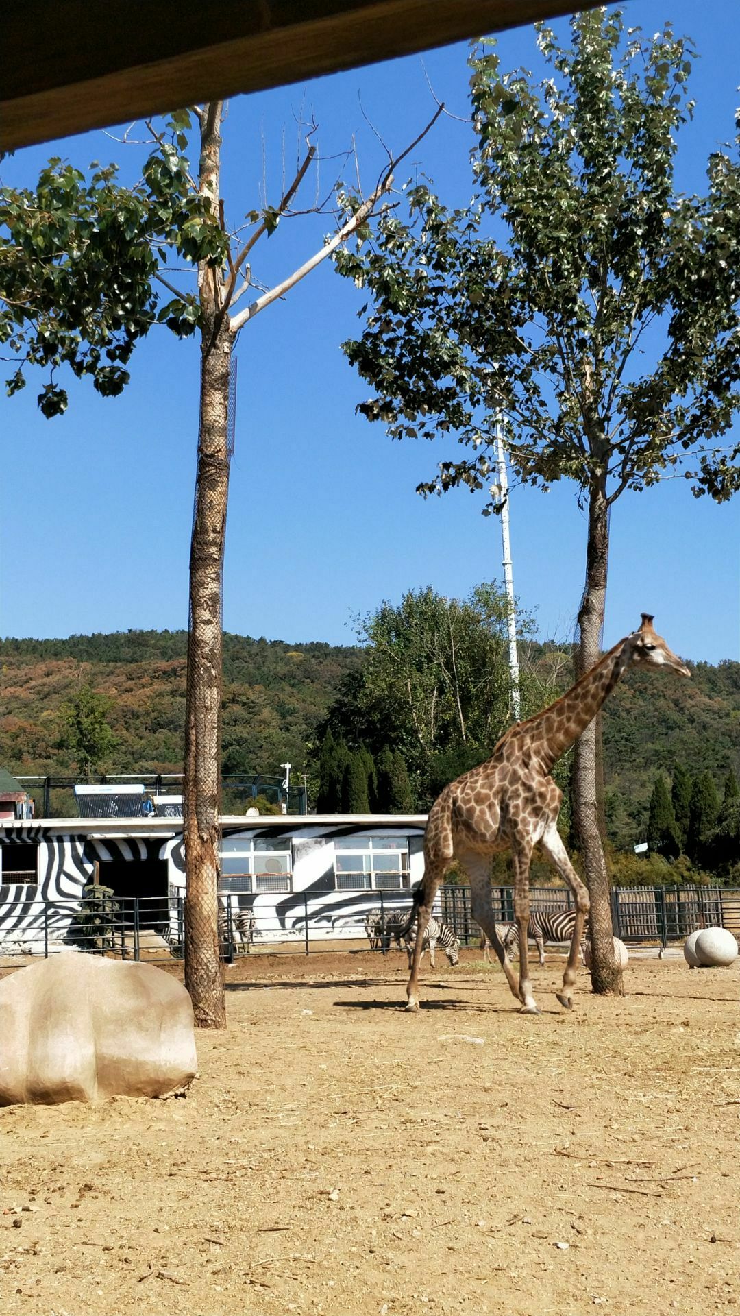 大連森林動物園