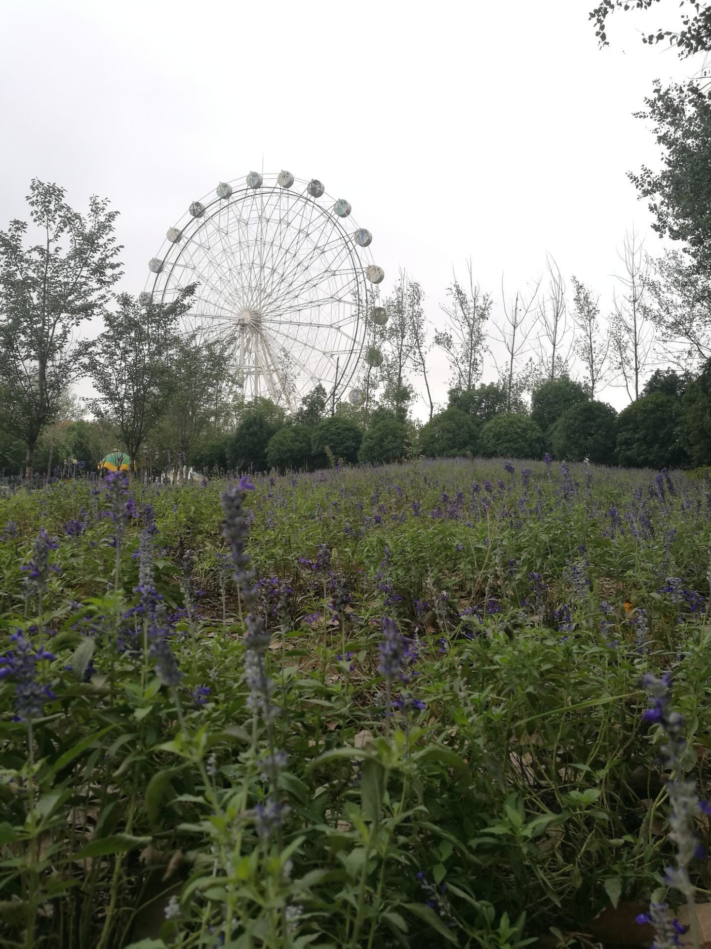 雨发田园水上乐园