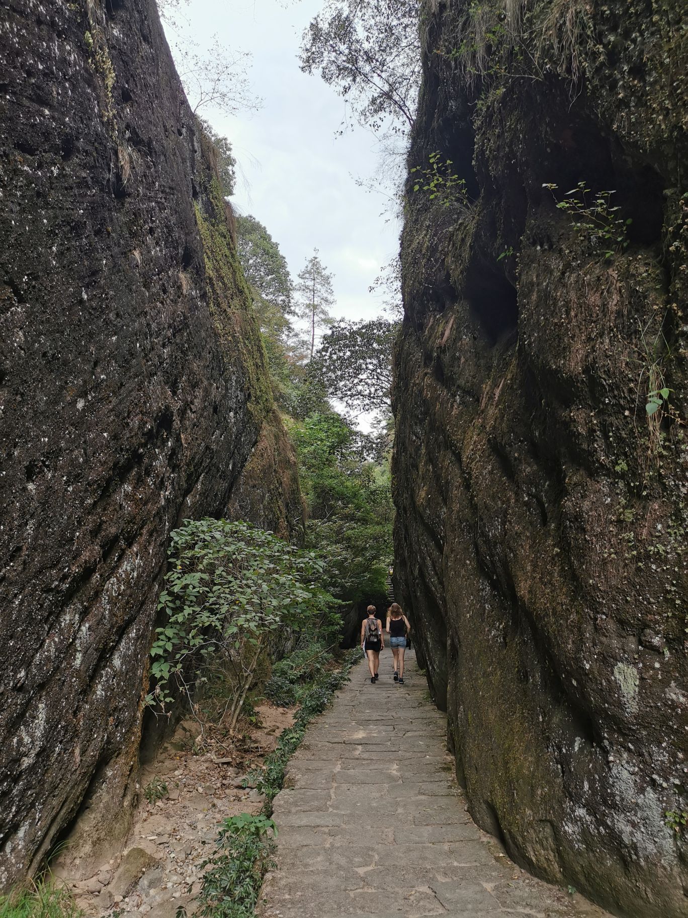 【携程攻略】武夷山一线天景点,一线天长176米，步道最窄处只有30厘米，里面雨潺潺。