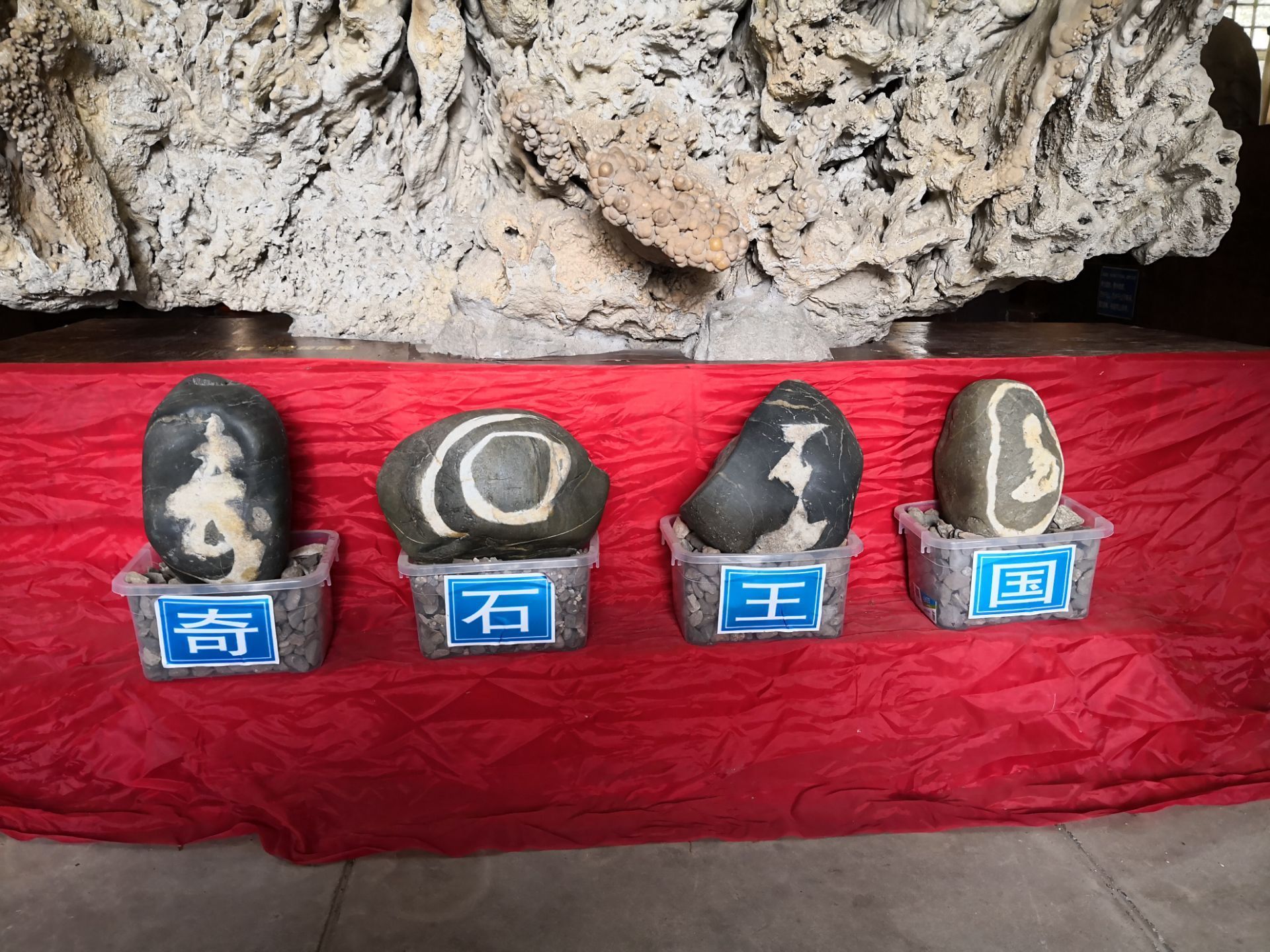 贵州省地质博物馆