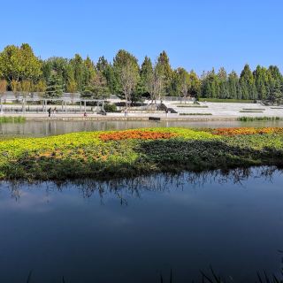 濱河公園 公園樂園 城市公園 距景點1.1km 免費