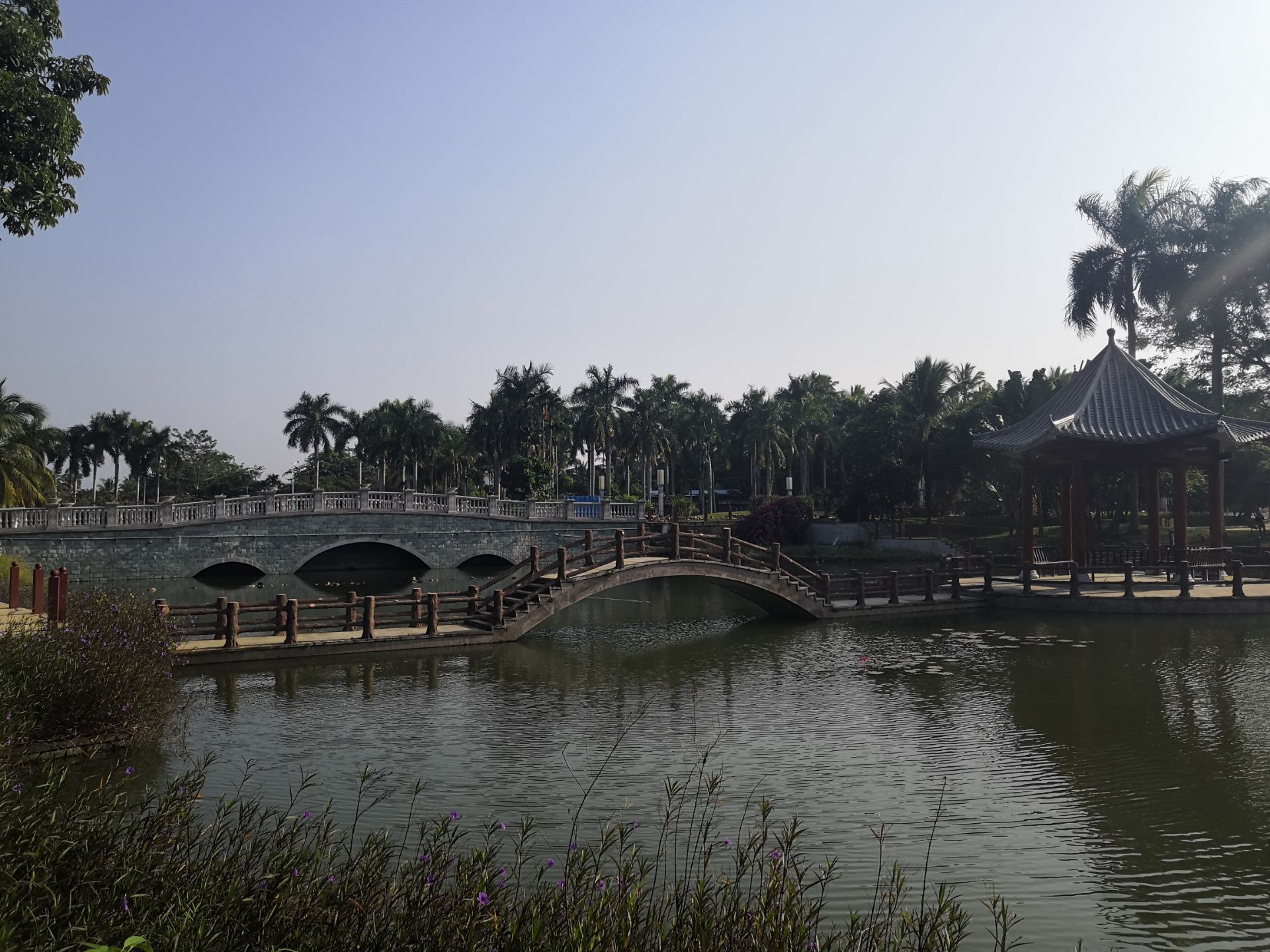 2018興隆南藥植物園_旅遊攻略_門票_地址_遊記點評,萬寧旅遊景點推薦