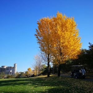 北京伯爵園高爾夫