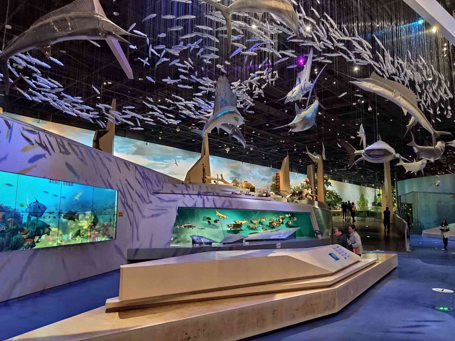 武汉自然博物馆·贝林大河生命馆