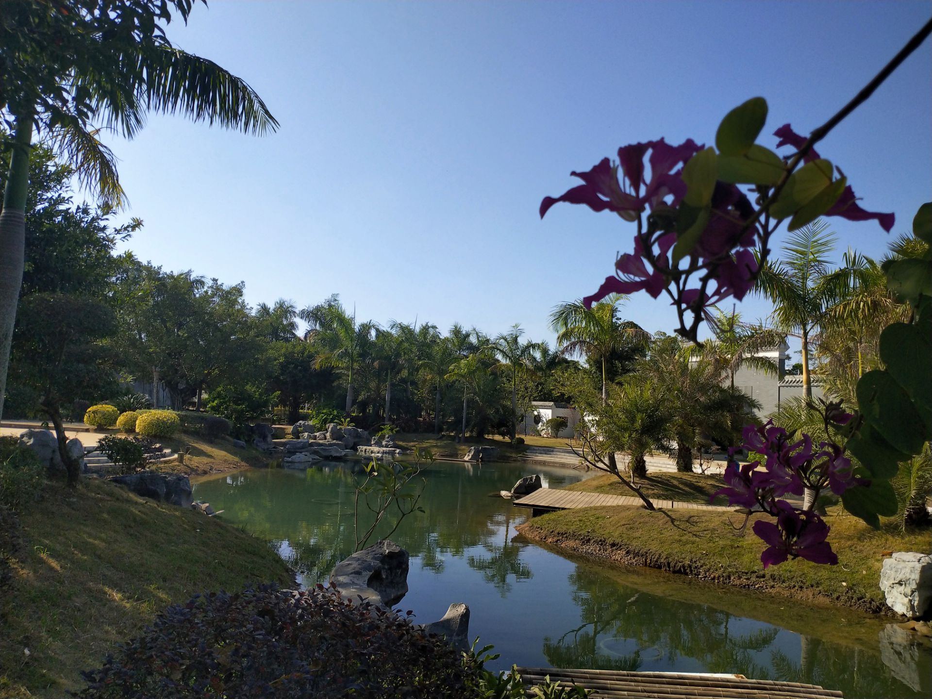 北海北海園博園好玩嗎,北海北海園博園景點怎麼樣_點評_評價【攜程