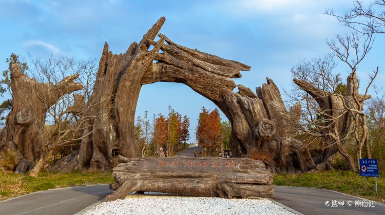 上海廣富林郊野公園攻略-廣富林郊野公園門票價格多少錢-團購票價預定