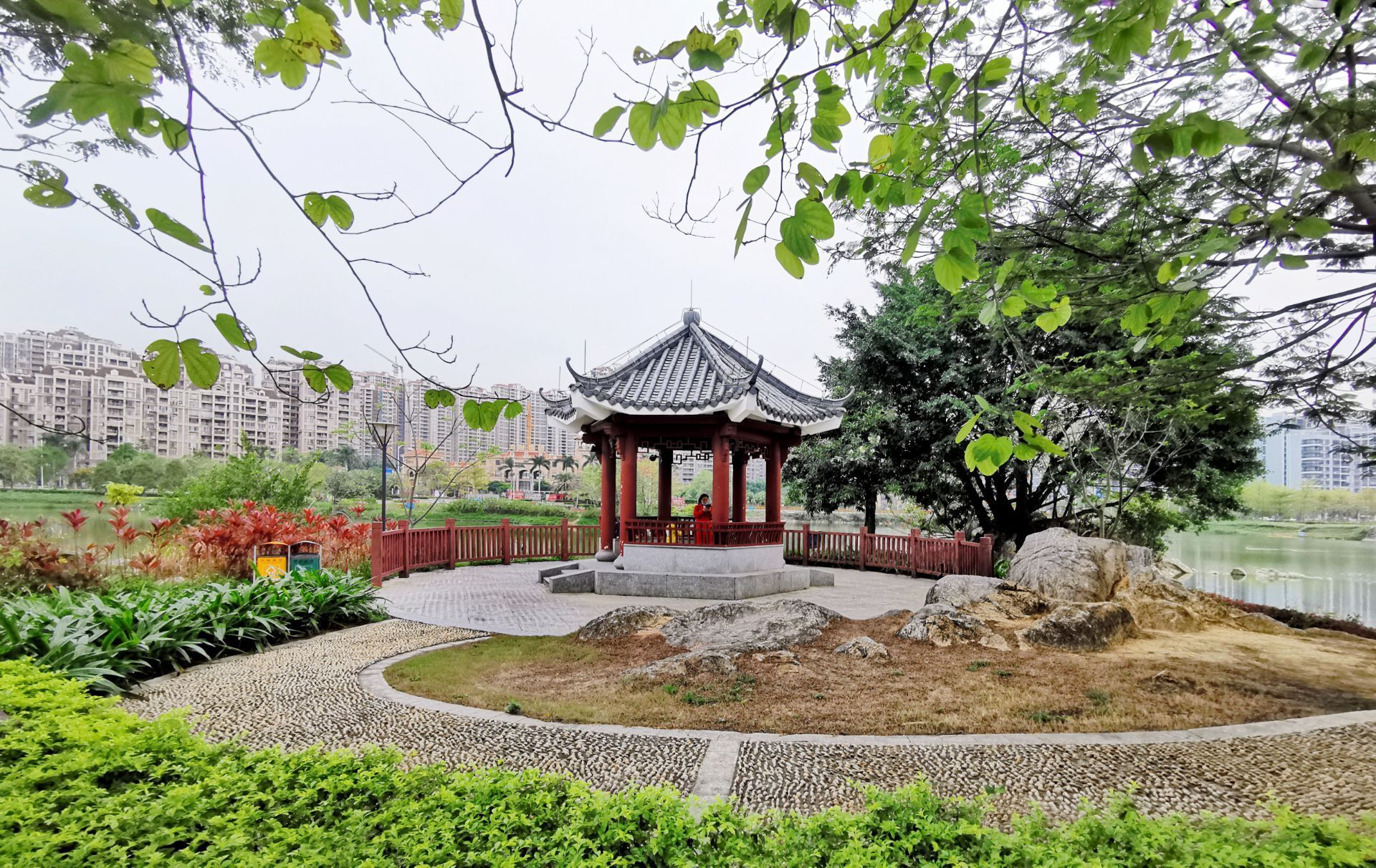 肇庆打造150个城市公园，市民出门300米就有休闲绿地_南方plus_南方+