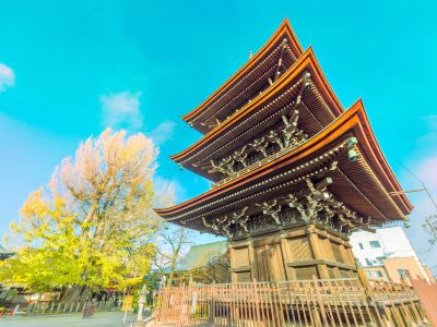 絶対に行くべき奥飛騨温泉郷の観光スポット トリップドットコム