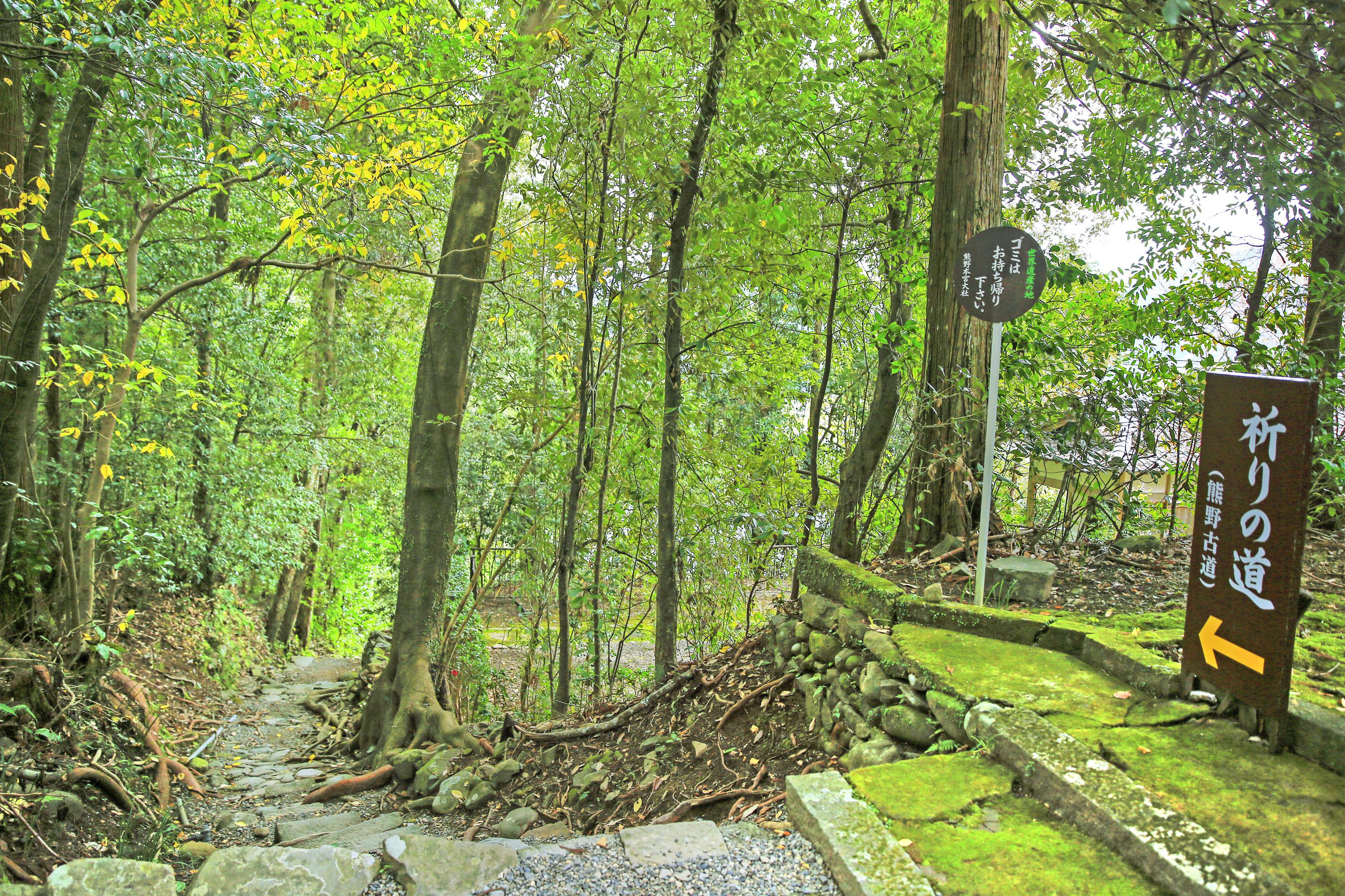 三重县熊野古道攻略 熊野古道门票价格多少钱 团购票价预定优惠 景点地址图片 携程攻略