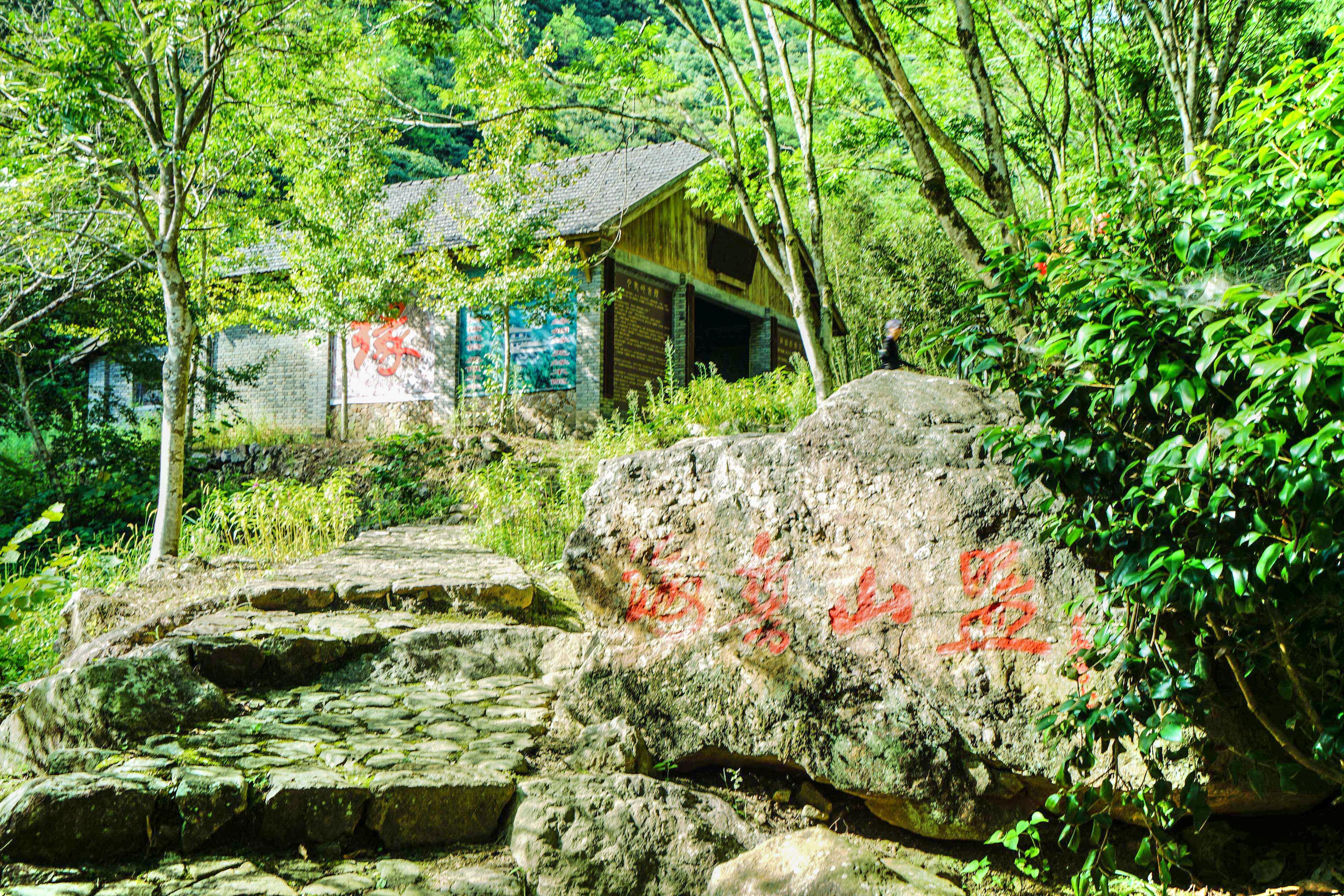 建德千島湖好運島攻略,建德千島湖好運島門票/遊玩攻略/地址/圖片