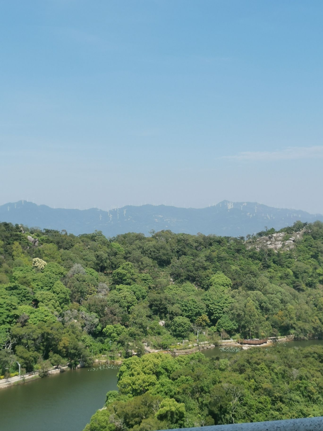黄花山森林公园