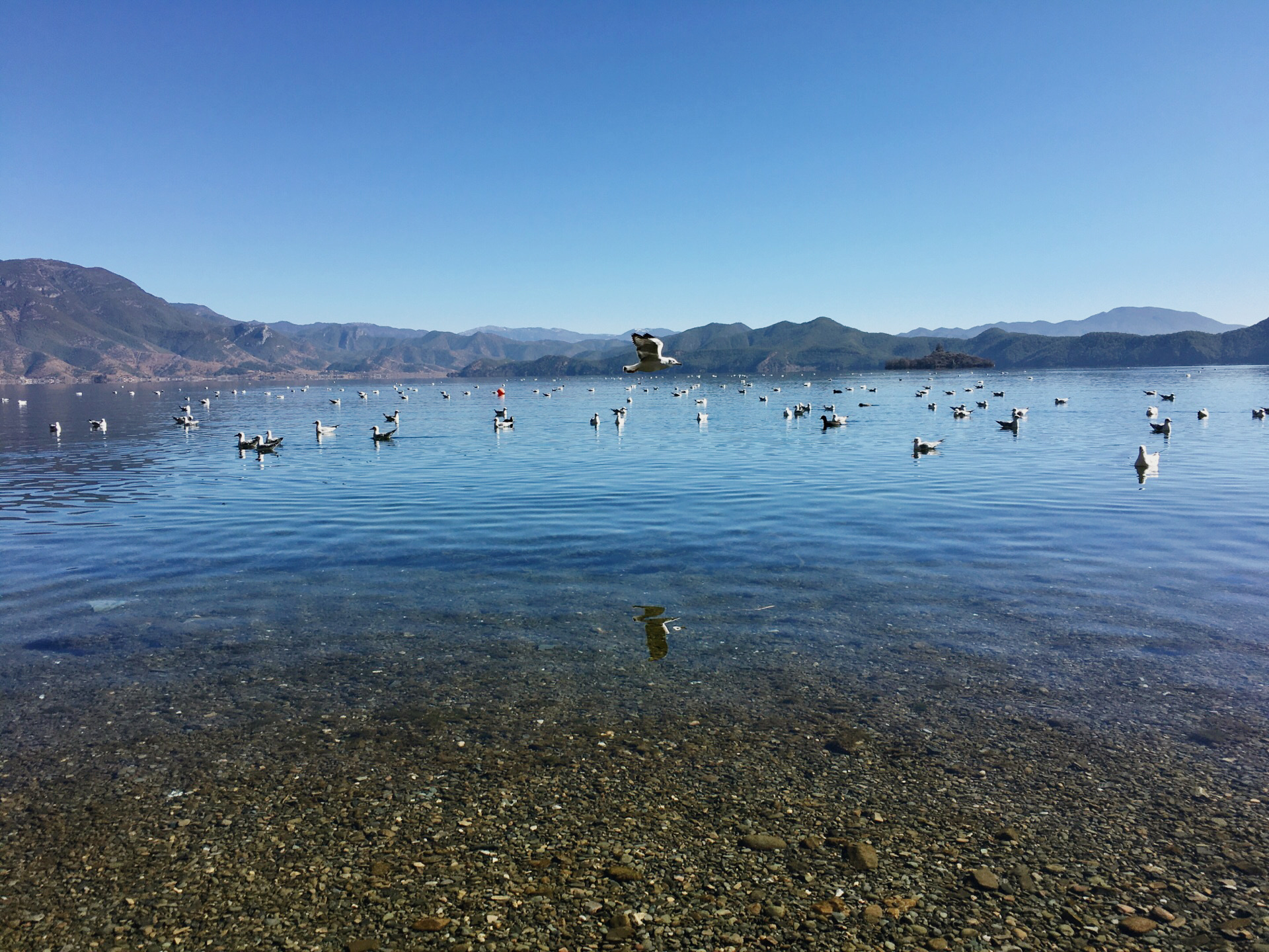 2020情人滩-旅游攻略-门票-地址-问答-游记点评,泸沽