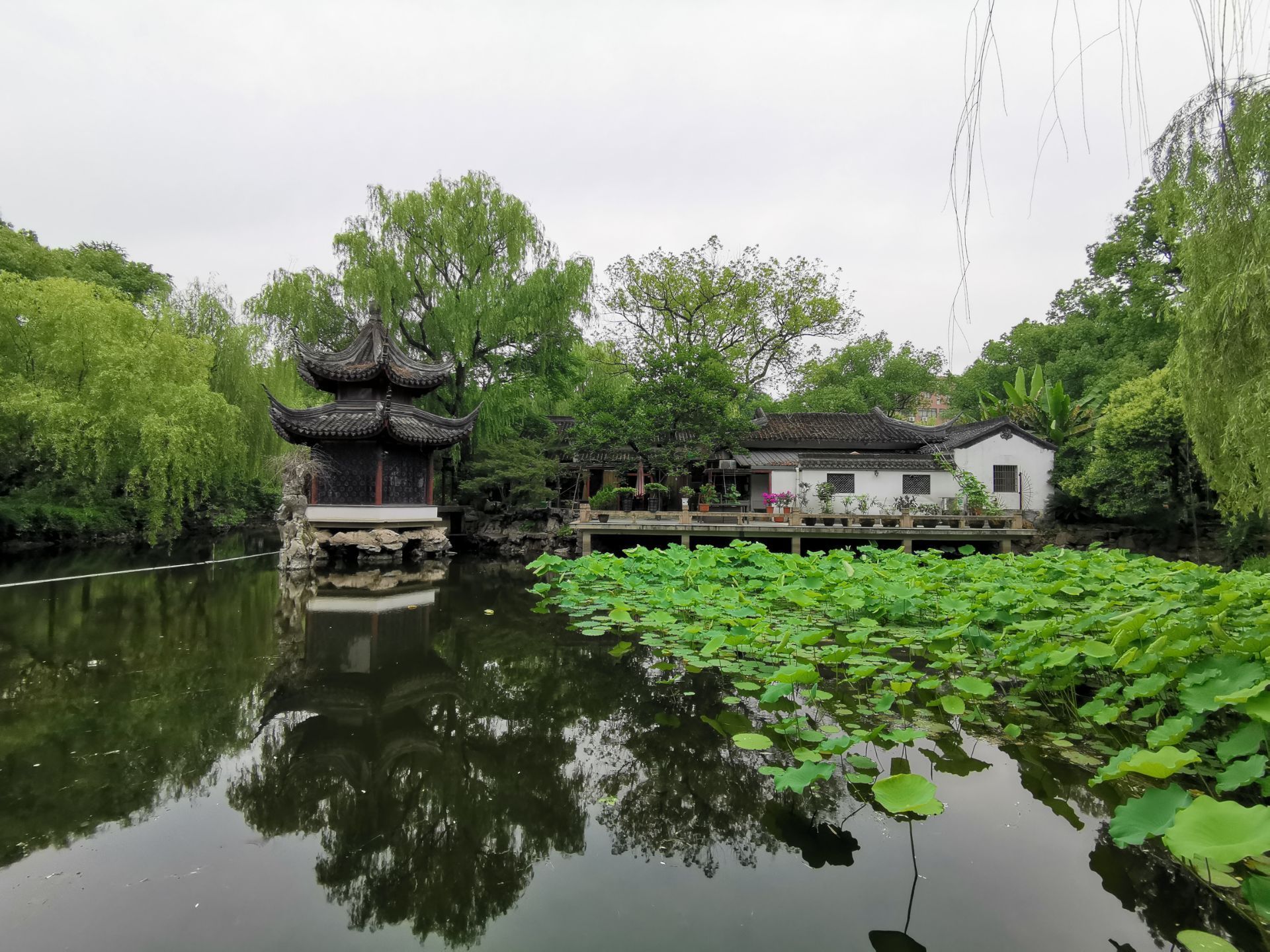 杭州墅园的经历图片