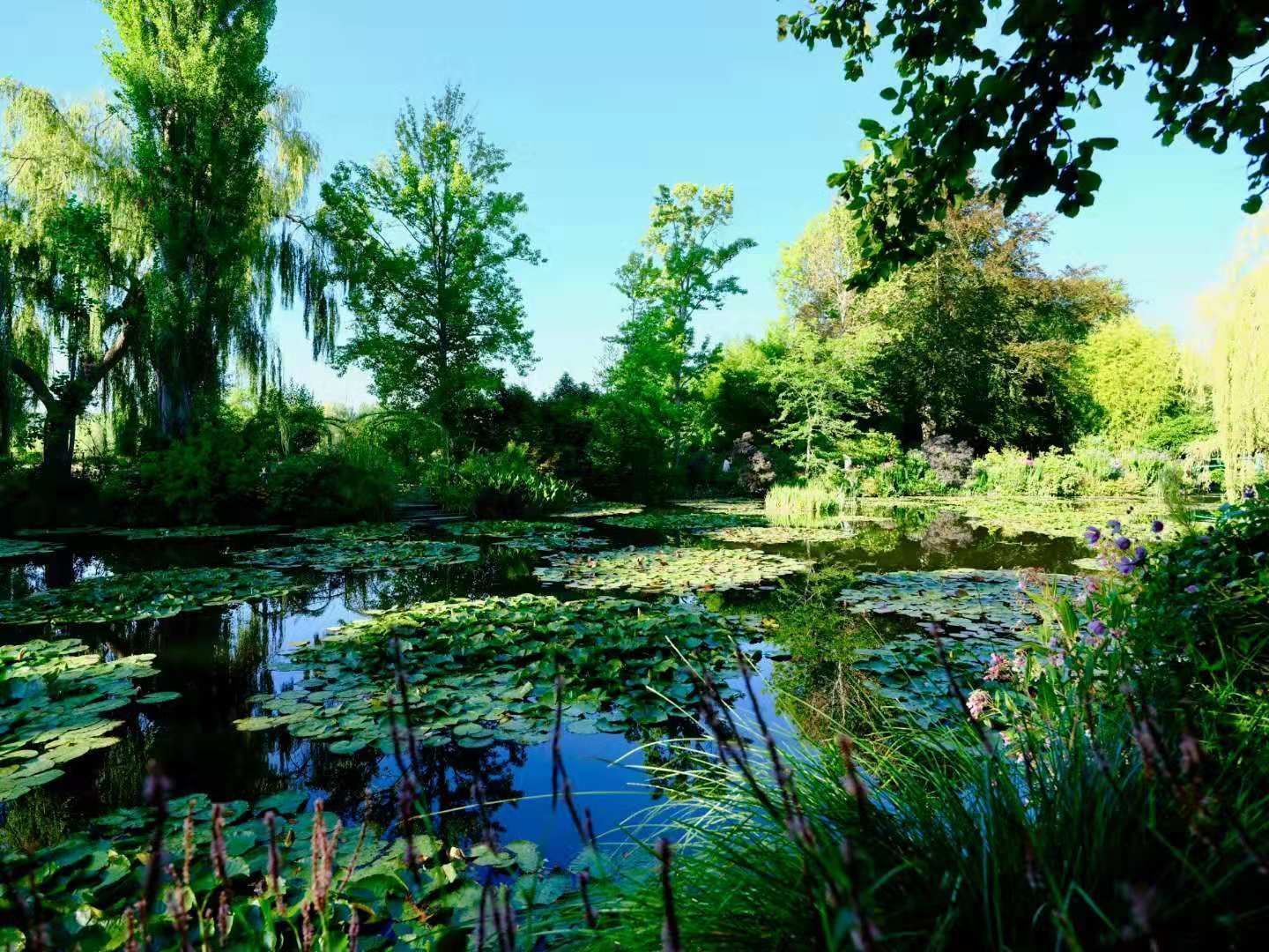 2023莫奈花园游玩攻略,莫奈花园位于法国的维吉尼小...【去哪儿攻略】