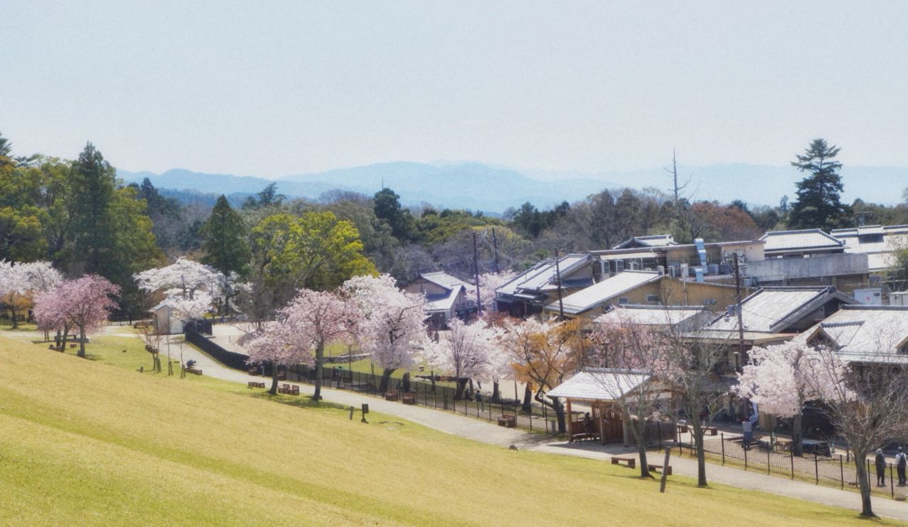 奈良若草山好玩吗,奈良若草山景点怎么样_点评_评价【携程攻略】