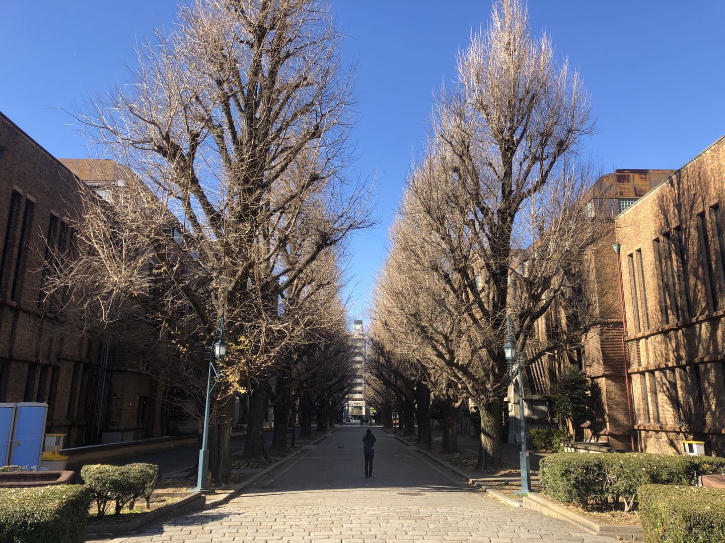 東京大學