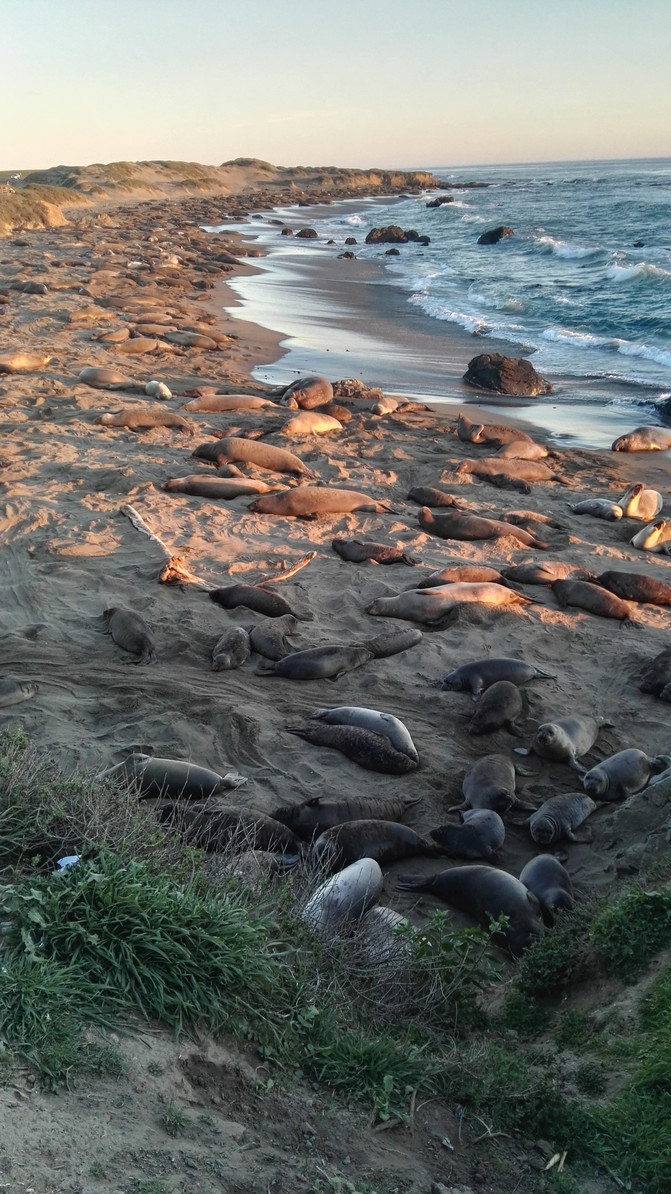 美国西海岸之旅