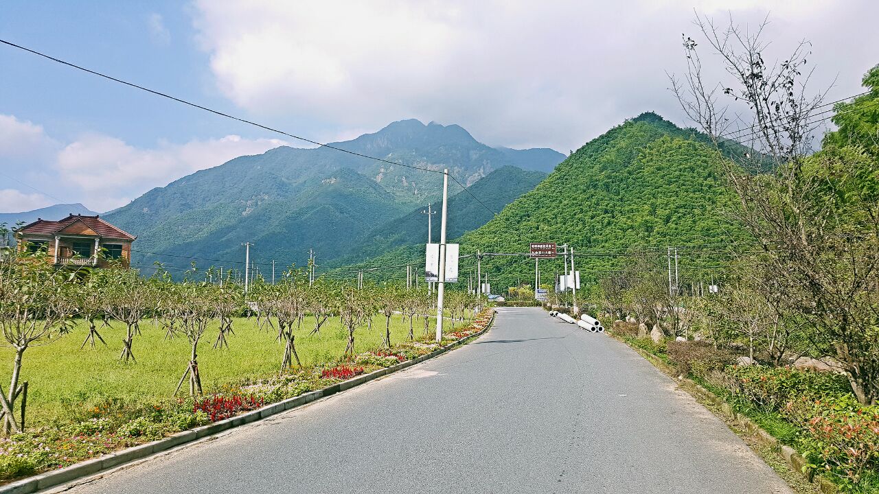 【攜程攻略】安吉九畝村景點,九畝村是浙北海拔最高村莊,免費.