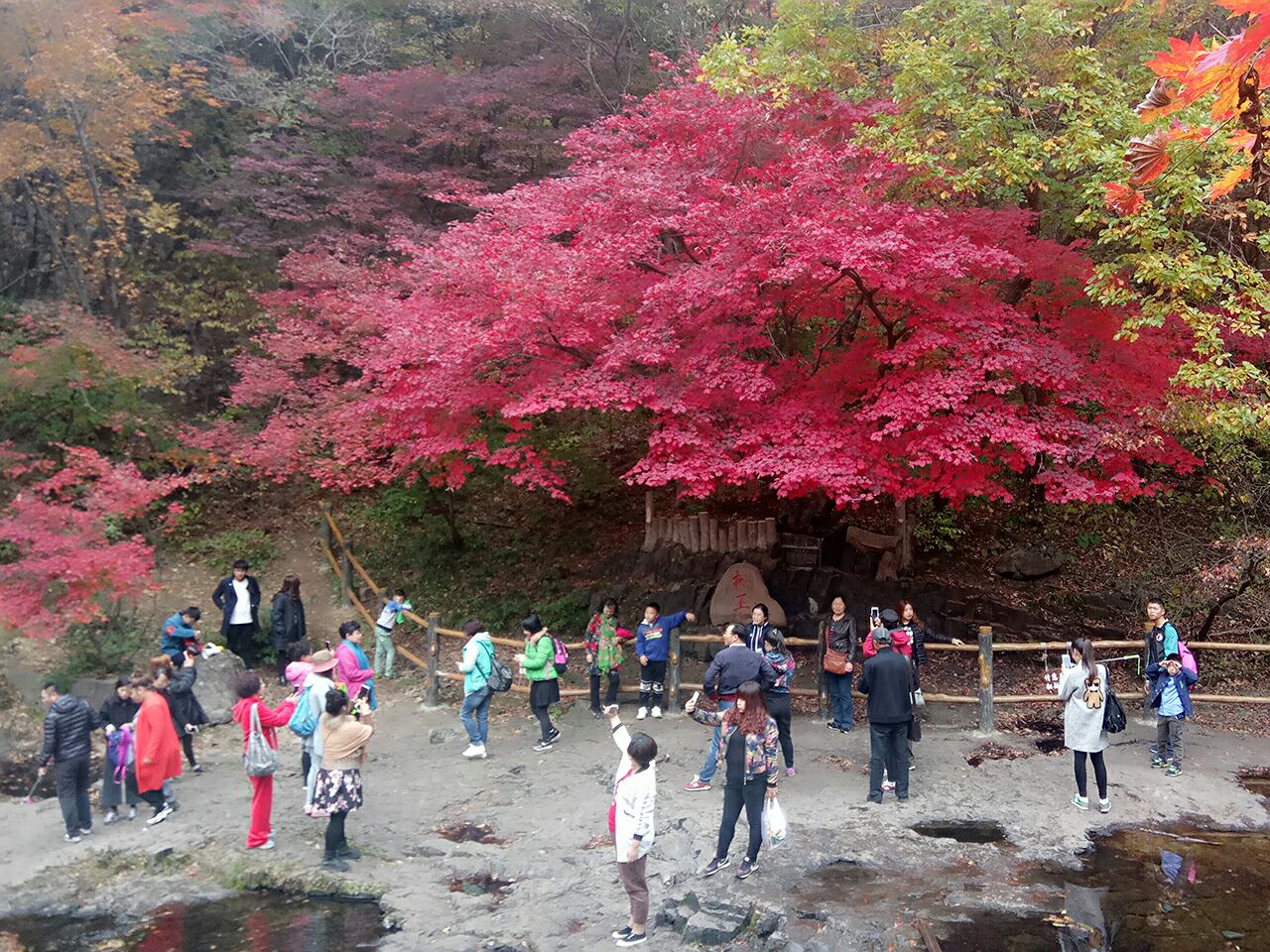 2020關門山國家森林公園-旅遊攻略-門票-地址-問答-遊記點評,本溪滿族