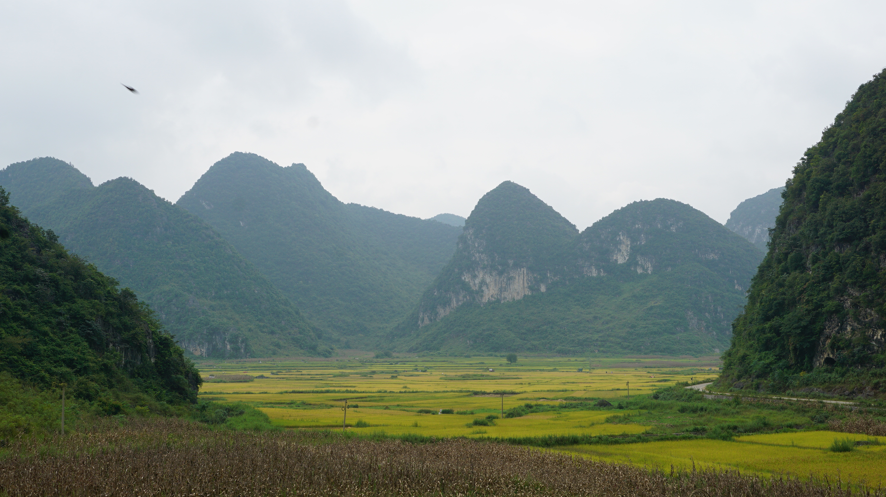 广南八宝风景区