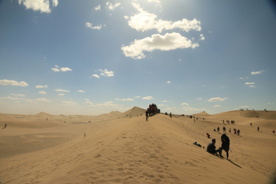 额济纳旗八道桥好玩吗,额济纳旗八道桥景点怎么样_点评_评价【携程