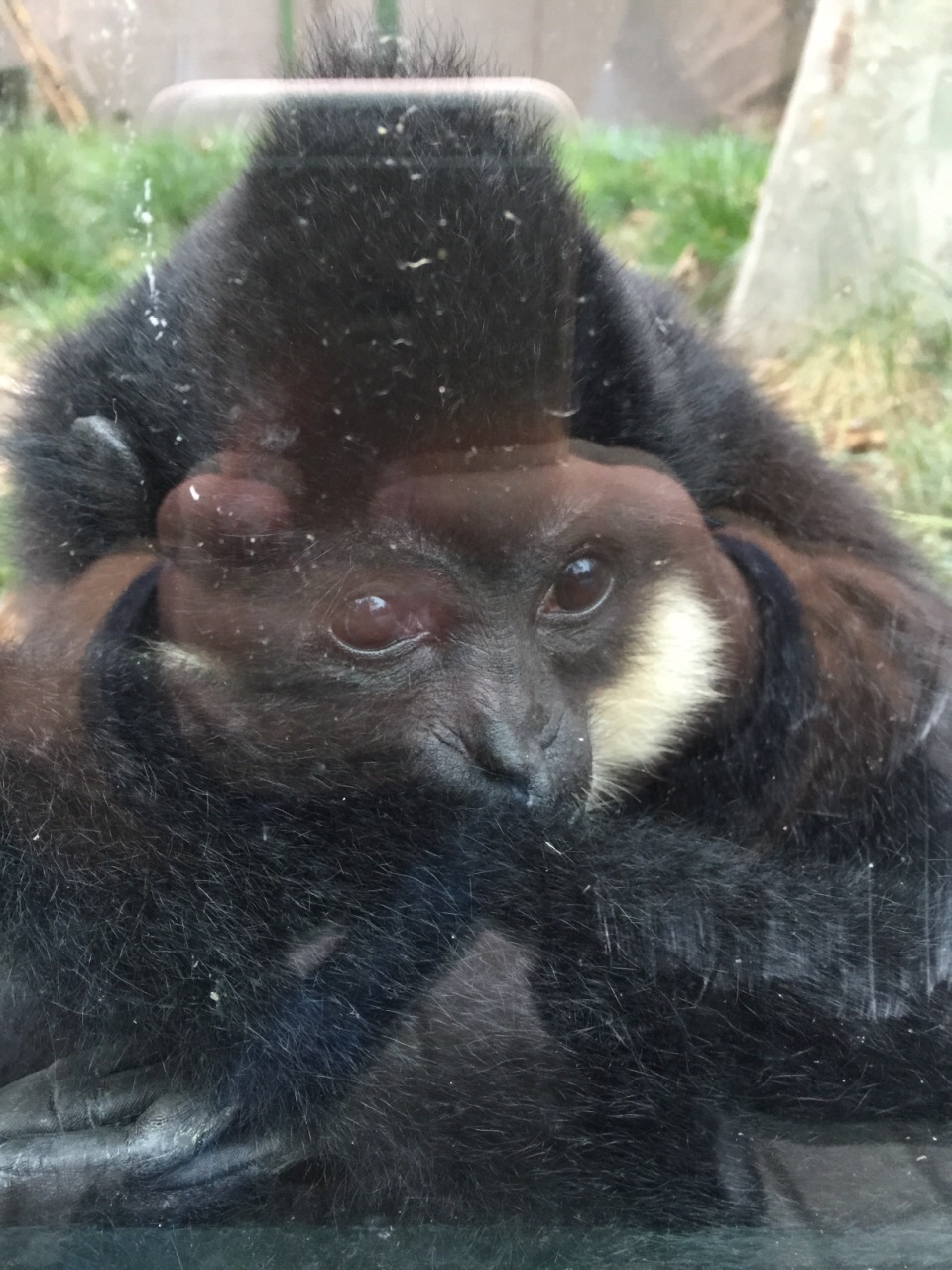 2019鄭州動物園_旅遊攻略_門票_地址_遊記點評,鄭州旅遊景點推薦 - 去