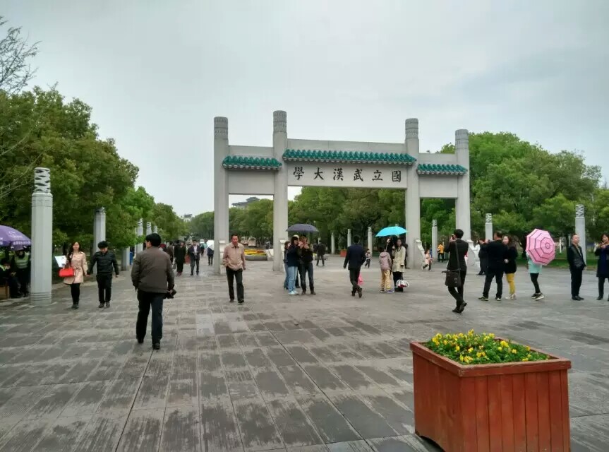 武漢大學旅遊景點攻略圖