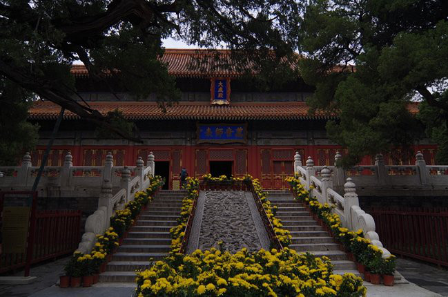 德信体育2025年美国