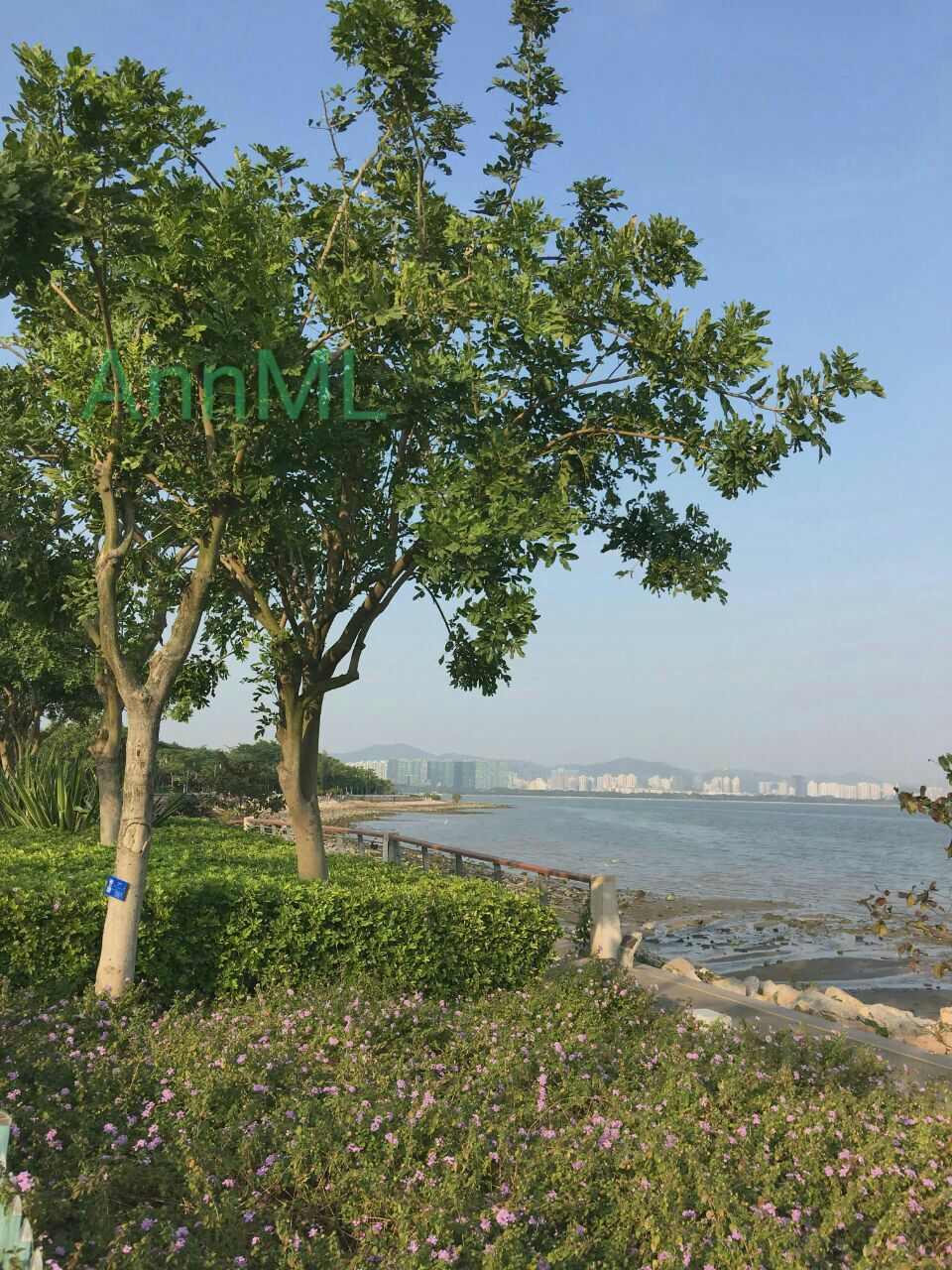 【攜程攻略】深圳深圳灣公園景點,非常美的一道風景線,沿著海灣十幾