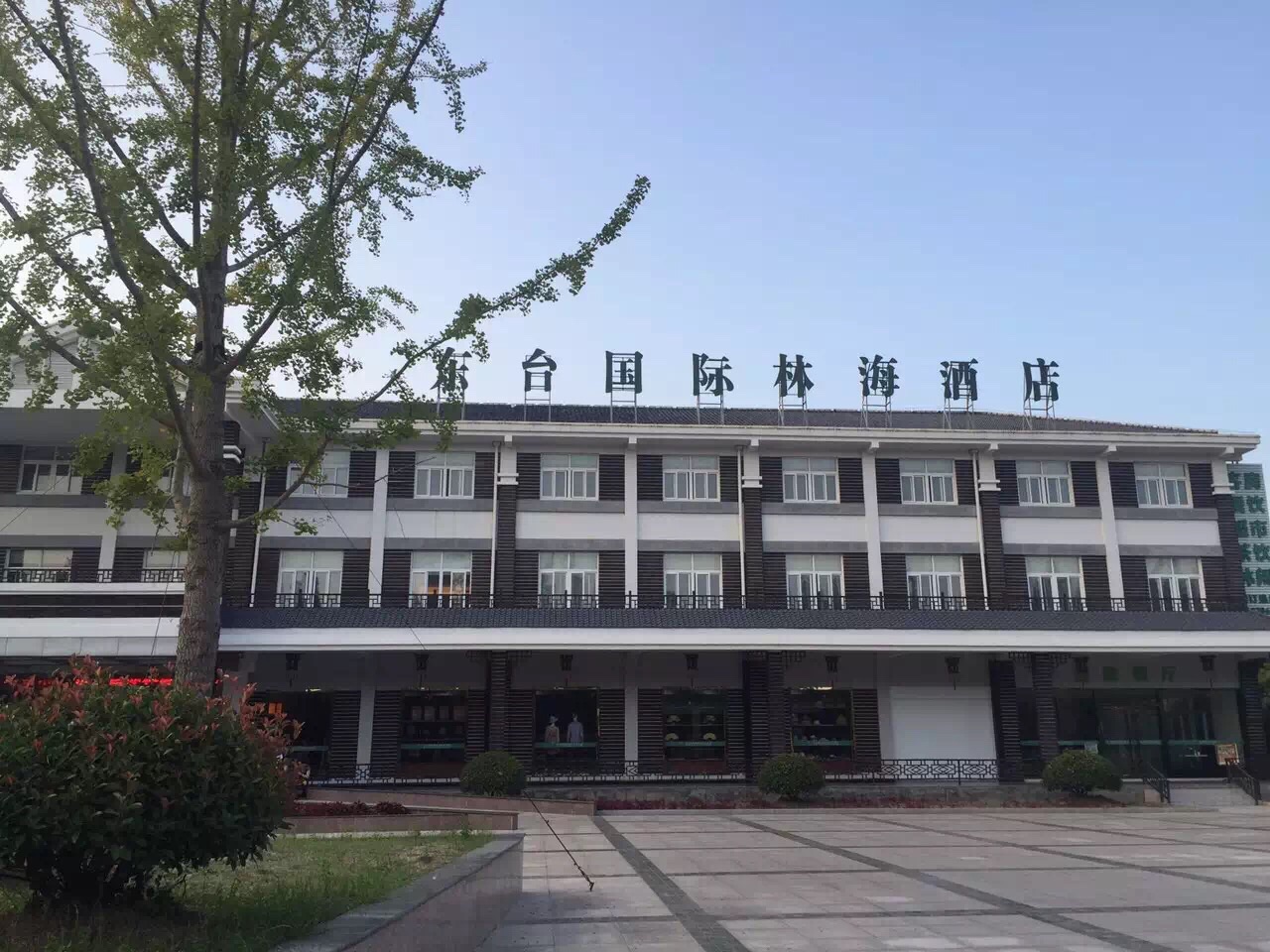 东台黄海森林公园酒店图片