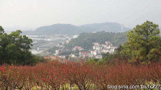 番禺莲花山人口_番禺莲花山图片(2)