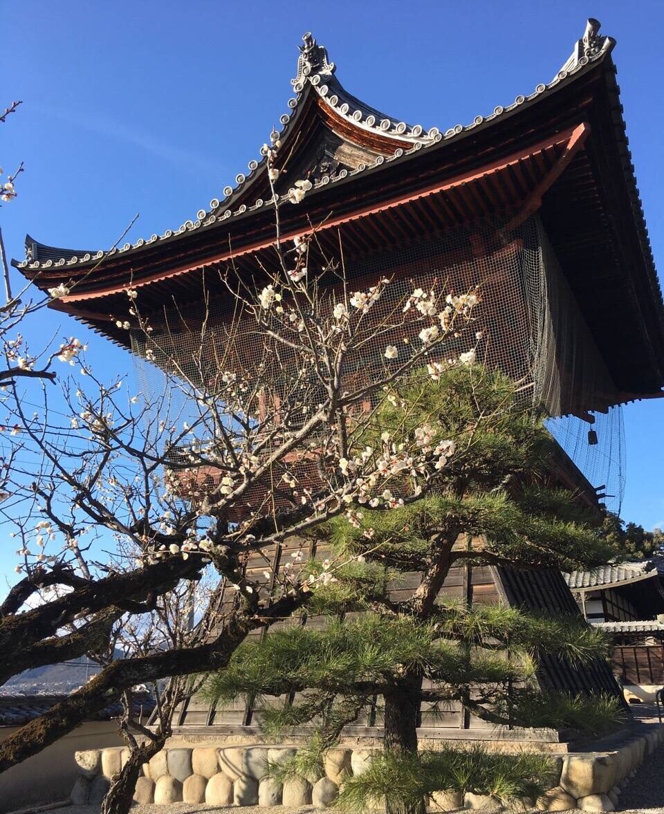 出来犬山jr站,就能看见远处的犬山城堡.