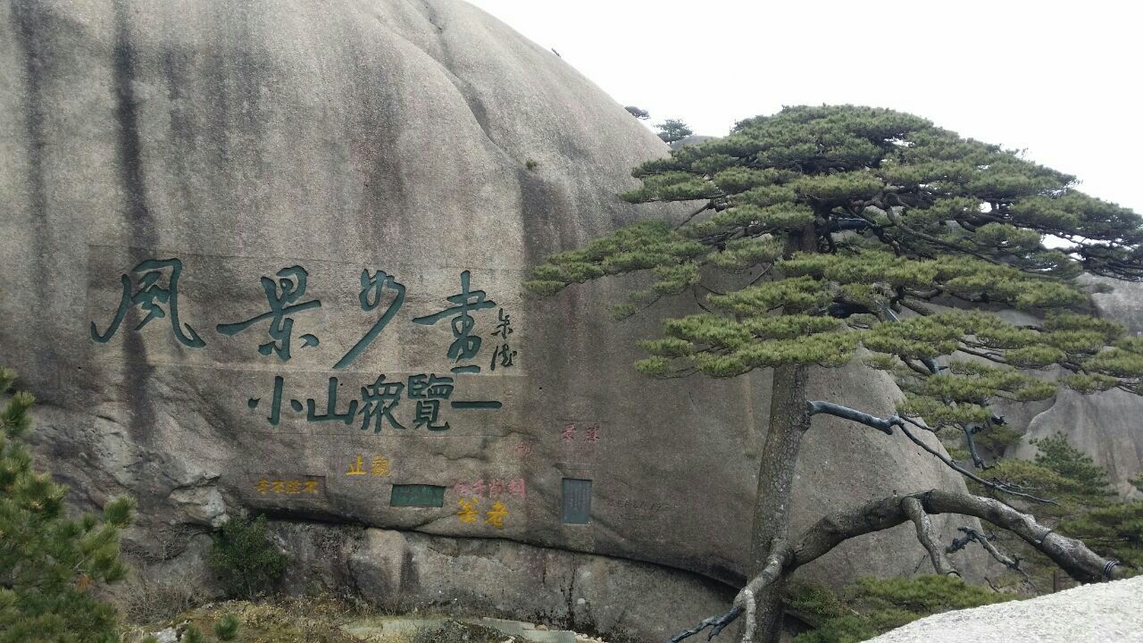 2019迎客松_旅游攻略_门票_地址_游记点评,黄山区旅游景点推荐 去