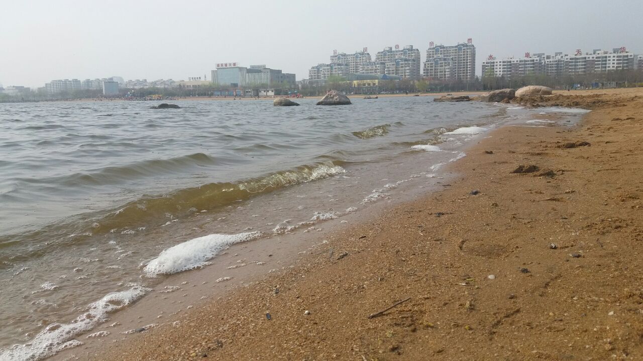 【携程攻略】东营清风湖公园好玩吗,东营清风湖公园景点怎么样_点评
