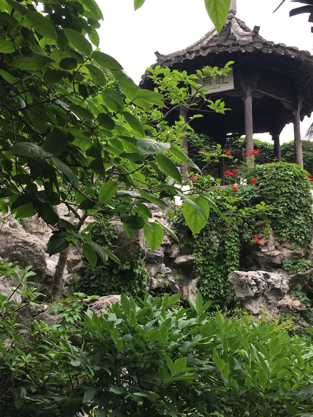 三月春风下扬州,万花如梦烟如柳