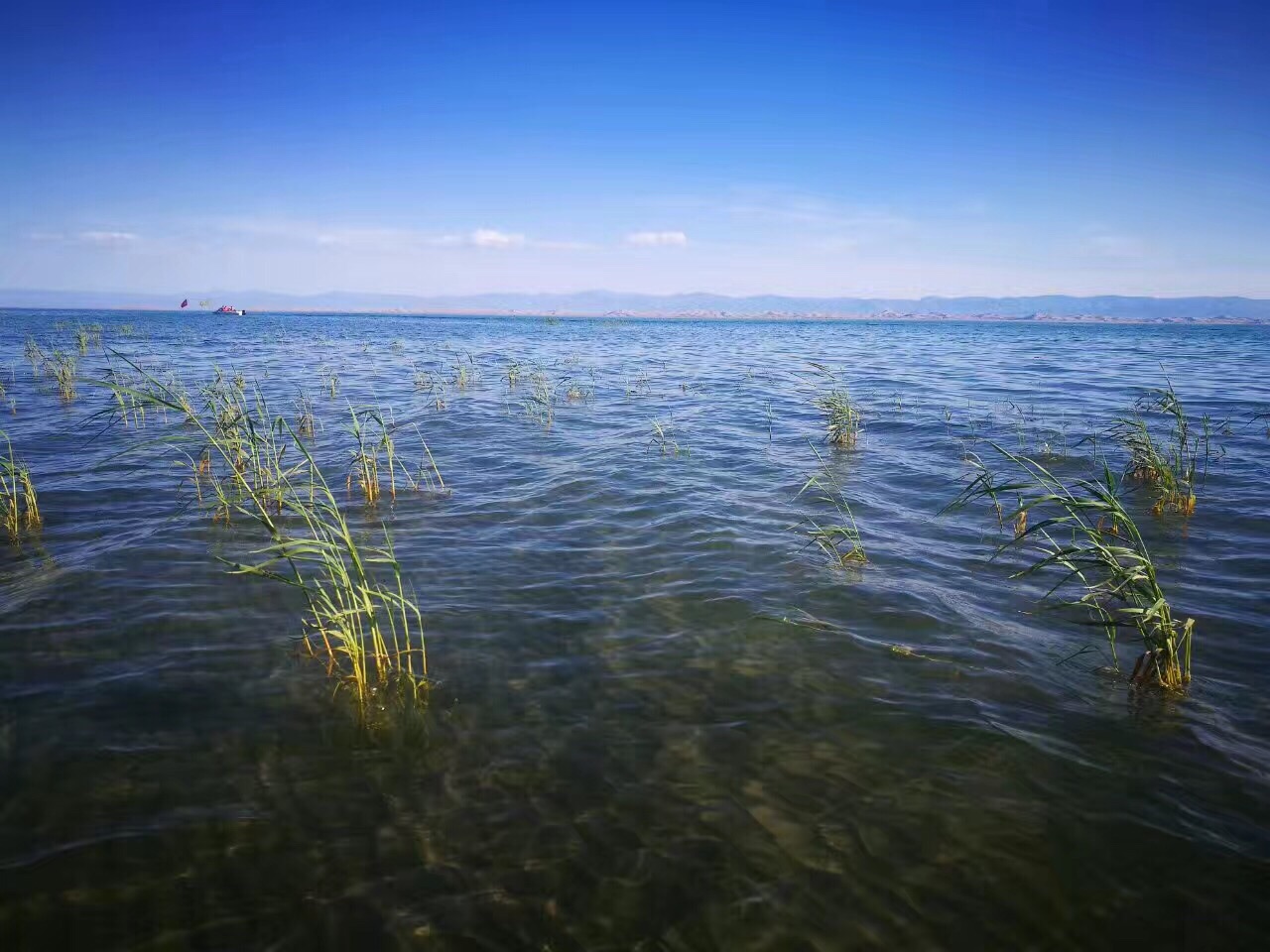 博斯騰湖旅遊景點攻略圖