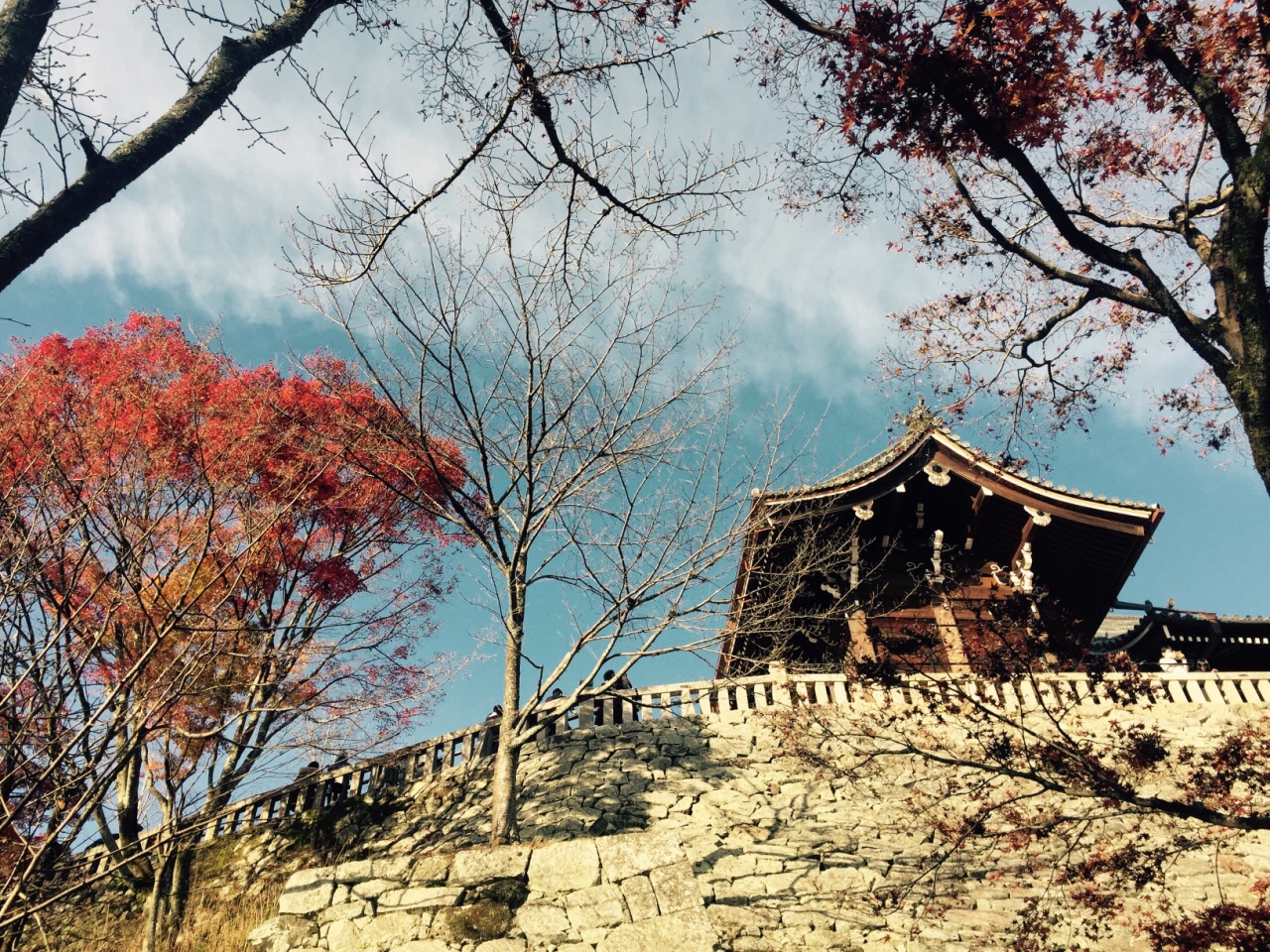 岚山公园旅游景点攻略图