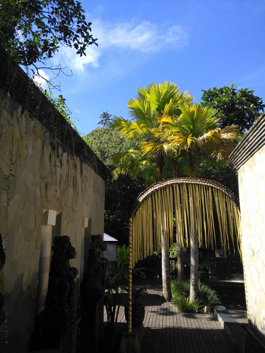 巴厘岛鸟园bali bird park